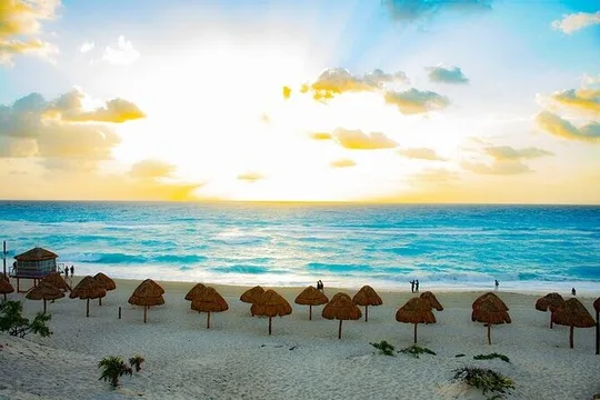 Cancun city Tour Bus only from Cancun