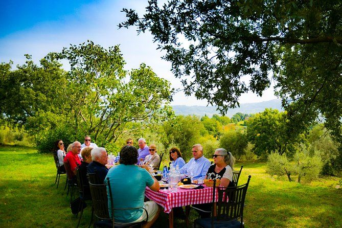 Lunch in the Olive Grove