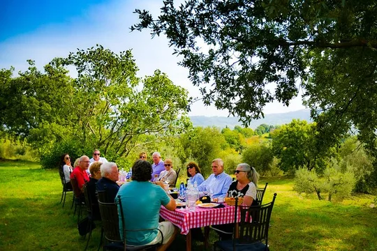 Lunch in the Olive Grove