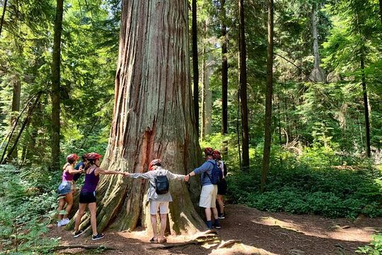 Stanley Park & Vancouver City Highlights 4 Hour Bike Tour 2 in 1