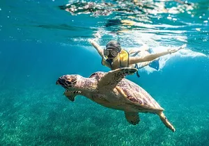 Snorkeling Tour with Turtles and Stingrays Puerto Morelos