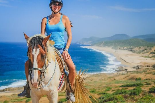 Beach Horseback Riding in Los Cabos