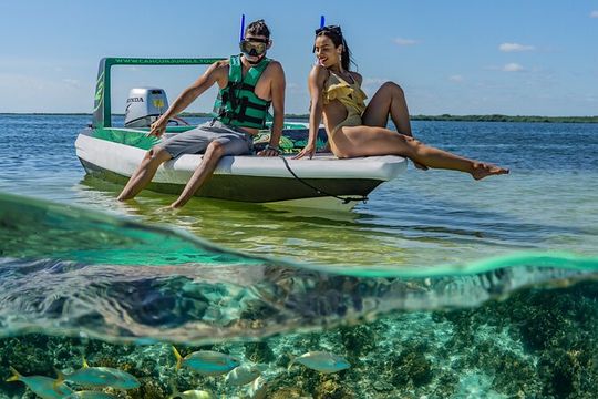 3 in 1 Jungle Speedboat and Snorkeling in Cancun
