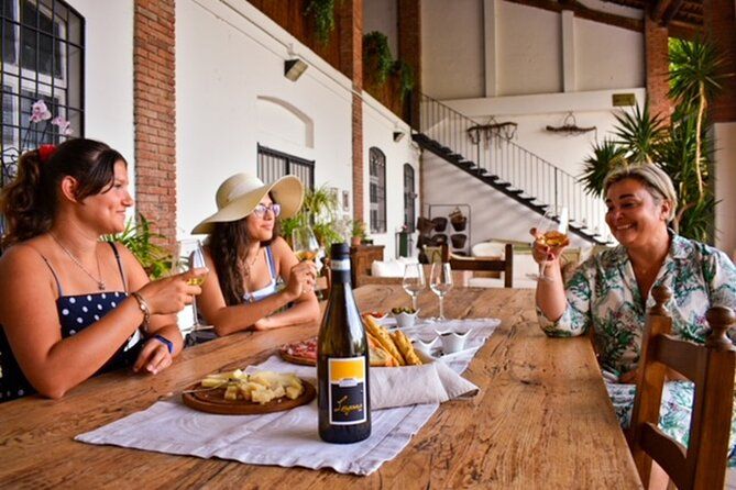 Wine Tasting and Tour of Lugana Wines in Sirmione
