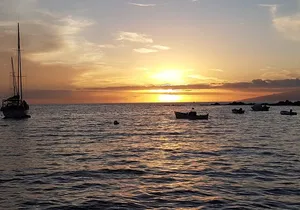 2 hour trip to see whales dolphins puerto colon adeje