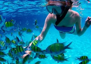 Swim & Fly Day Trip in Cancun with Transportation