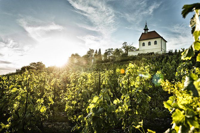 Prague´s Hidden Vineyards Private Tour