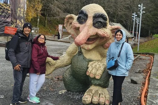 Bergen Private Walking Tour with a Local