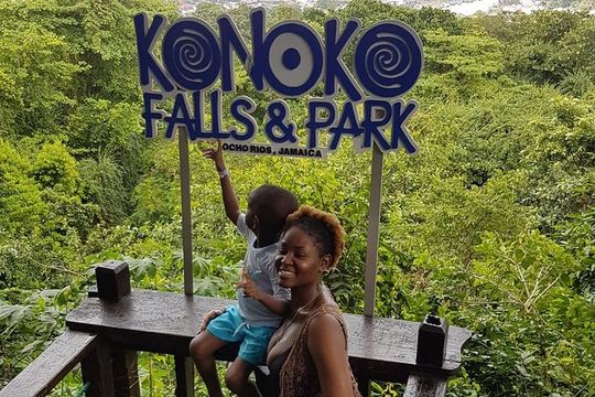 Konoko Falls & Park Private Transportation