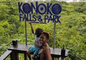 Konoko Falls & Park Private Transportation