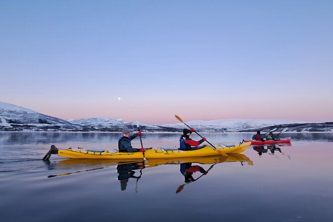 Tromsø: Easy Winter Kayaking Tour with Seal Watching