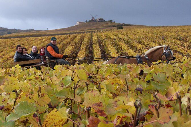 Full Day All-inclusive Tour in Champagne from Paris in a Minivan