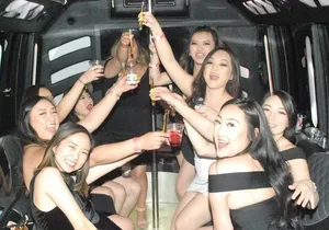 Las Vegas Airport Departure by Luxury Party Bus