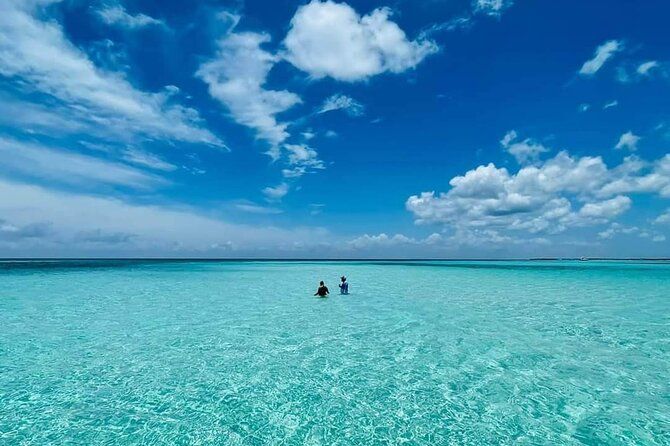 4 hours of shared snorkeling to El Cielo