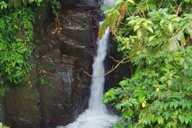 North Island Tour and Martinique Best Secret
