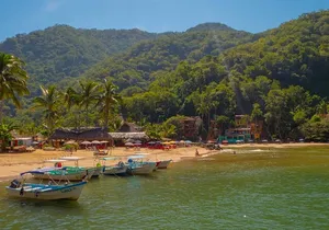 Private Boat Tour to Yelapa with Snorkeling and Waterfall Hike