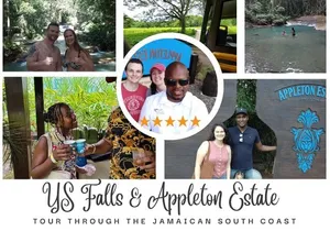 Private Tour Appleton Estate, YS Falls from Montego Bay