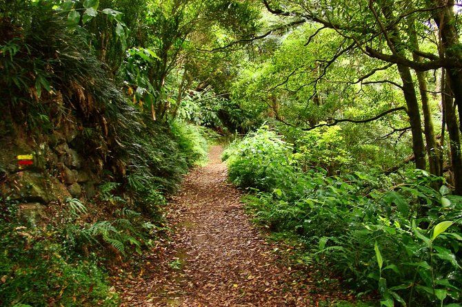 Sanguinho Hike from Ponta Delgada