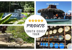 YS Falls, Black River Safari, Appleton Rum Tour OR Pelican Bar (Choose Up to 3)