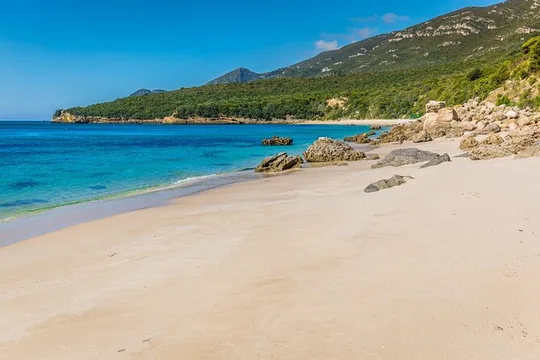 Private Tour to Setúbal, Arrábida, Azeitão & Christ the King