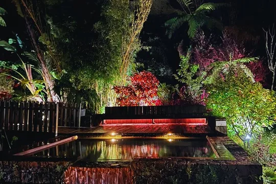 Furnas by Nightfall: Mystic Tour (Dinner included) - Hot Springs