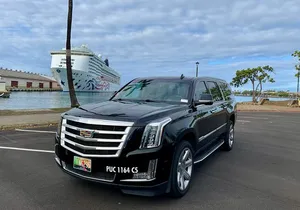 Honolulu Harbor Cruise Terminal Transfer by Luxury Vehicle