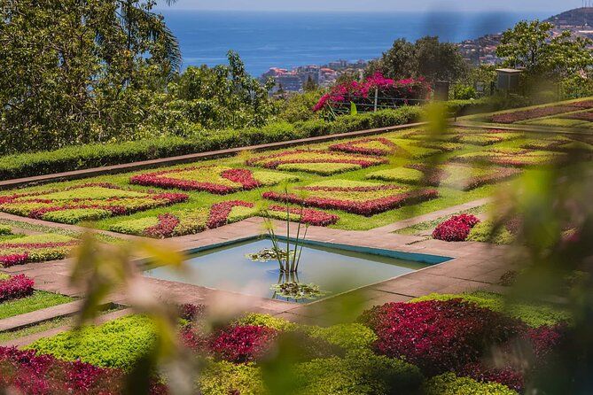 Funchal Old Town & Botanical Garden Private Tuk Tuk Tour