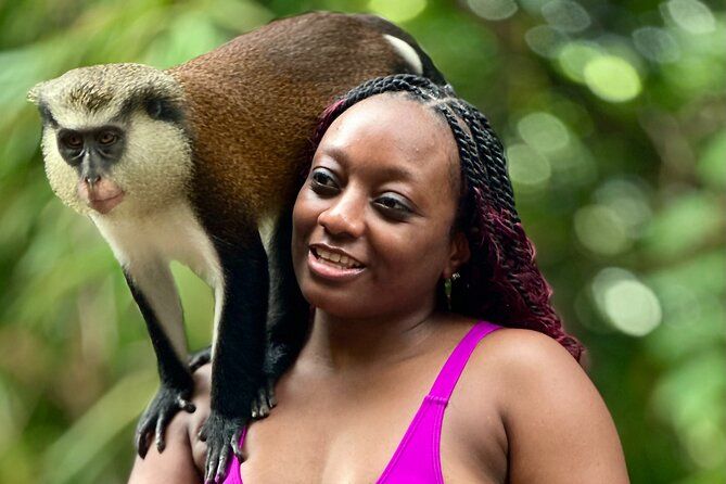 Grenada Day Tour-Concord Falls, Chocolate, Rum & Grand Etang Lake
