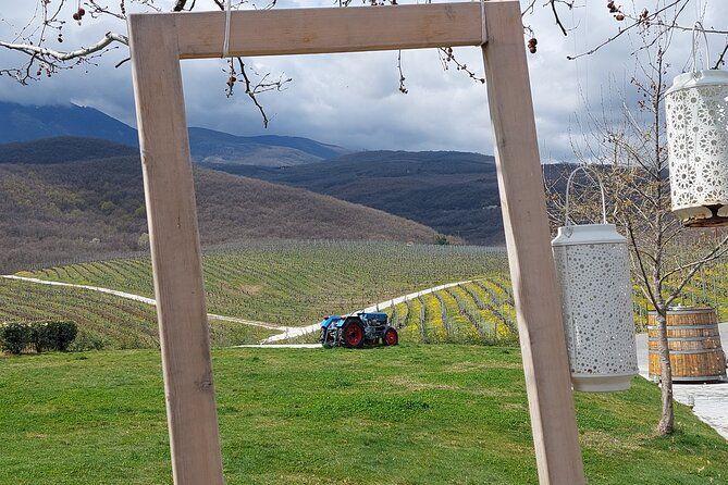 Thessaloniki to Naoussa, Wine Tasting Tour – Private Day Trip
