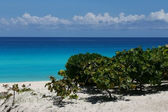 Private Transfer-Cancun Airport-Playa del Carmen One Way