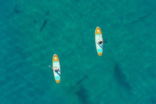 Lake Mead Stand-Up Paddleboard Tour—Explore Boulder Island