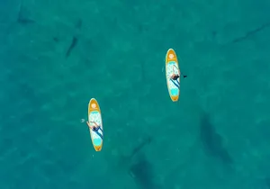 Lake Mead Stand-Up Paddleboard Tour—Explore Boulder Island