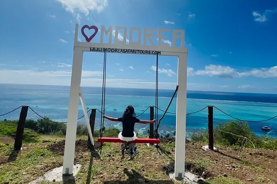 ALBERT TOURS: Excursion 4x4 safari with private SWING view point