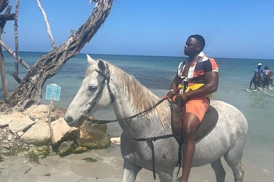 Private Horse Back Riding and Blue hole from Montegobay