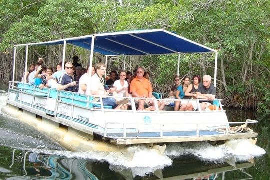 Black River Safari/YS Falls plus Floyd's Pelican Bar Private Tour