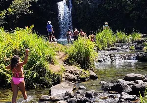 Halfway to Hana Private Tour Maui BlackBeach Waterfalls Turtles