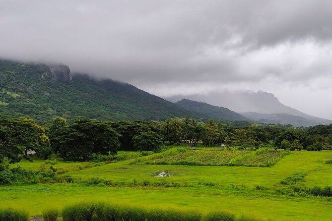 Fiji Private Tour: Best of Nadi Highlights
