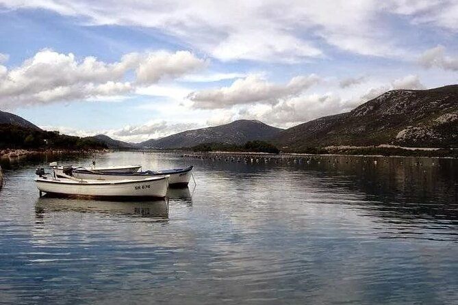 Oysters and mussels tasting with wine in Ston and Pelješac