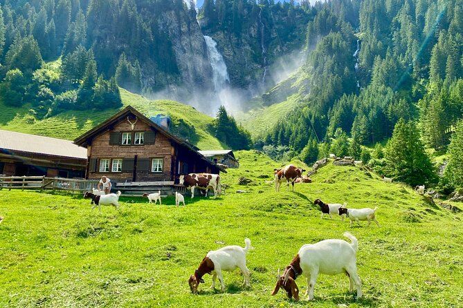 From Zurich: The most beautiful insider spots in Switzerland (private 1-day tour)