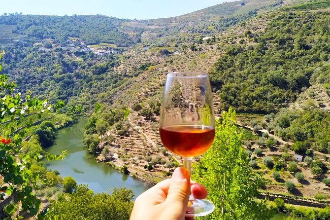 Douro Valley Day Trip: 2 Wineries, Private Boat & Authentic Lunch