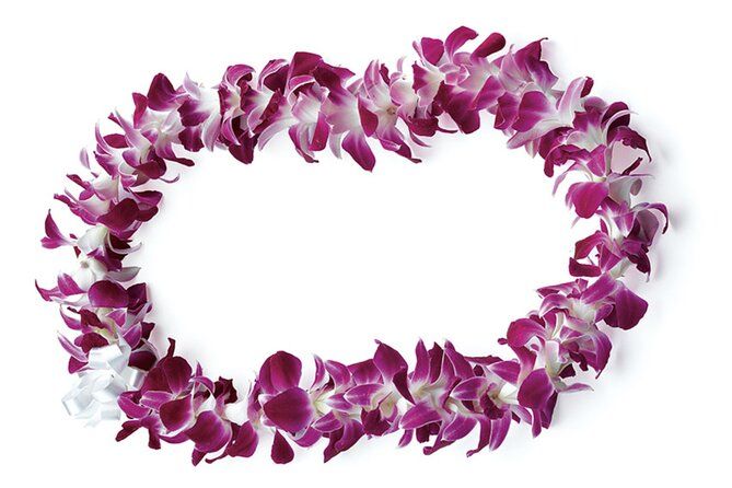 Honolulu Private Airport Transfer (Arrival with Lei or Departure)