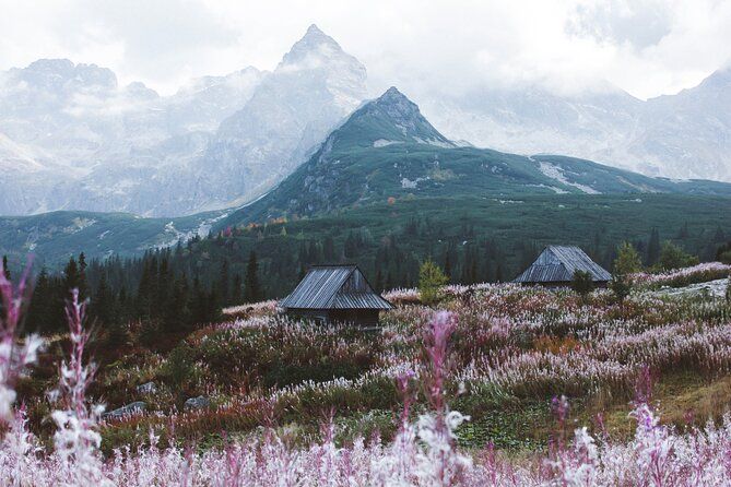 Zakopane Tatra Mountain & Thermal Baths from Krakow