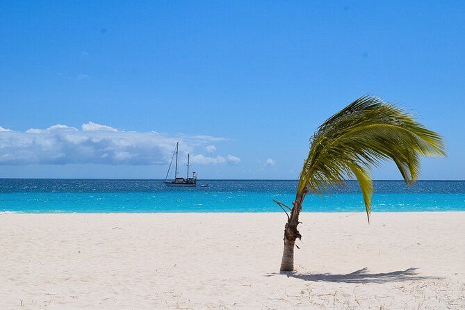 Barbados Shore Excursion: Bajan Highlights