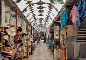 Private Tour to Playa Balandra, La Paz and Todos Santos