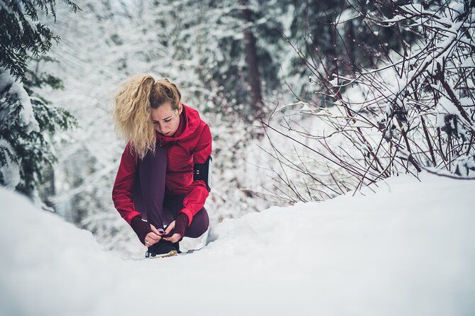 Oslo Summit Tour: A Scenic Hiking Adventure to Vettakollen