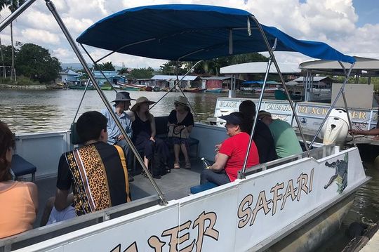 YS Falls & Black River Safari (From Montego Bay) Private