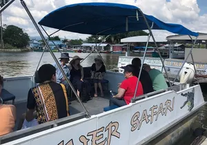 YS Falls & Black River Safari (From Montego Bay) Private