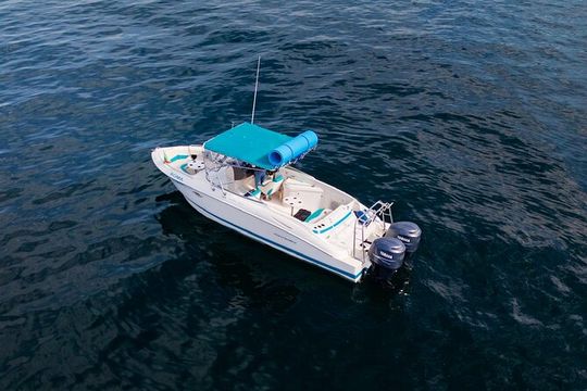 Private boat for 6 hours with snorkeling & beaches in Puerto Vallarta