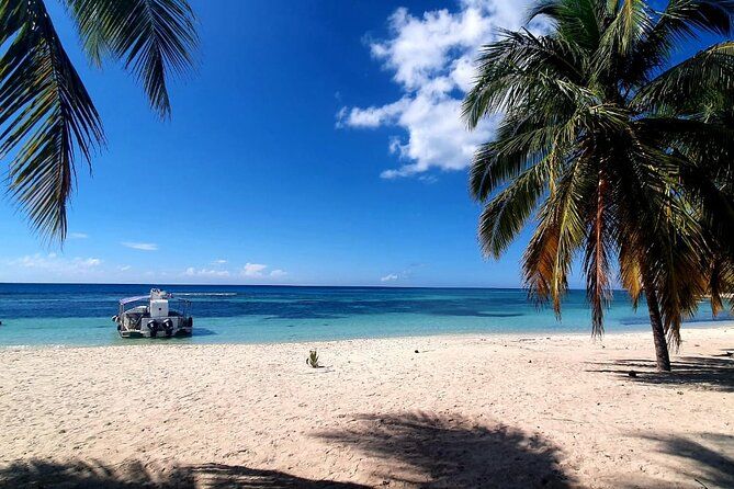 Saona Island Tour: Small Group Trip on Trimaran Motorise