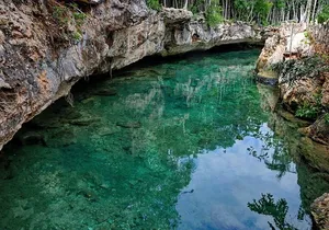 Tulum Cenotes Discovery: Swim & Snorkel in Nature’s Pools